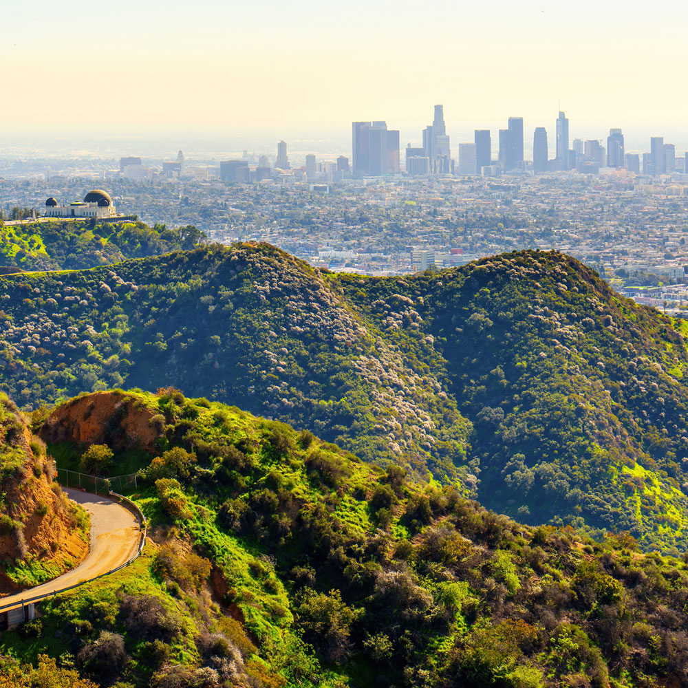 view of los angeles and griffith observatory. rolling green hills