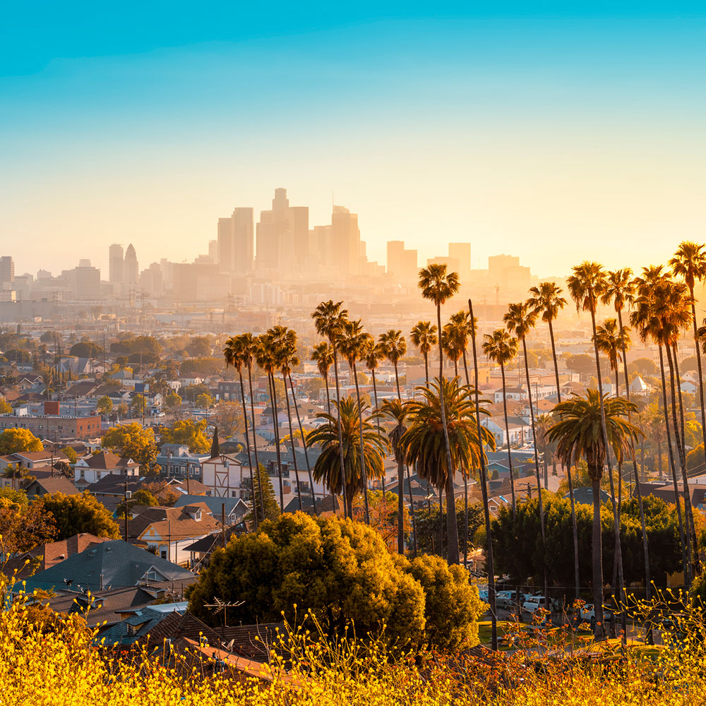 sunset over los angeles with lots of palm trees in the foreground